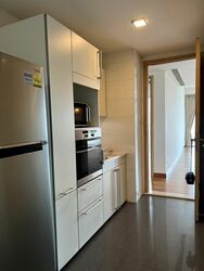 Cairnhill Crest (D9), Condominium #553754911